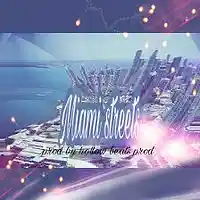 Picture for song 'Miami streets' by artist 'Stand alone nation'