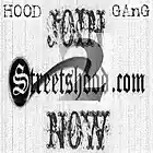 Picture for song 'Girlz f. Chris Da Vp' by artist 'Street Skolla'