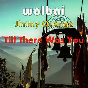 Picture for song 'Till There Was You (The Beatles - Acoustic/Electri' by artist 'Wolbai - Music - Collaborations'