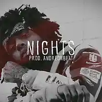 Picture for song 'Nights' by artist 'AndreOnBeat'