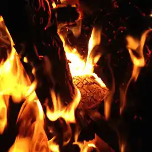 Picture for song 'Bernie D Sample 17' by artist 'Bernie D'