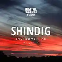 Picture for song 'Shindig ' by artist 'Digital Flashback Beats'