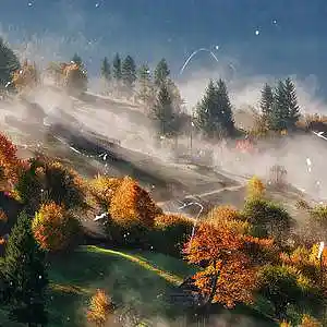 Picture for song 'Mulan (Travis scott x gunna x wheezy) type beat' by artist 'Anpu'