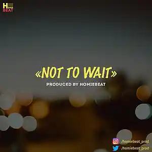 Picture for song 'Not To Wait' by artist 'Homiebeat'