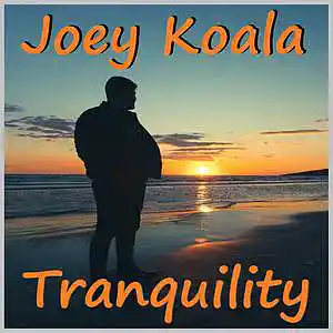 Picture for song 'Tranquility' by artist 'Joey Koala'