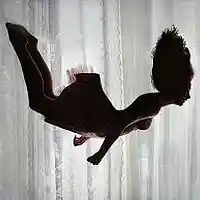 Picture for song 'Falling ' by artist 'Kathy Reynolds'