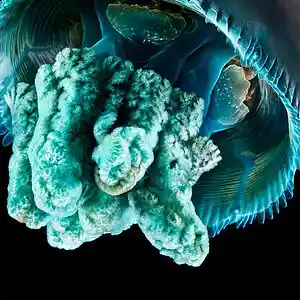 Picture for song 'SALE - Positive 90 bpm - Leon Beat' by artist 'Leon Beat'