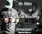 Picture for song 'She Like It She Love It' by artist 'Mr.Mr. Mike'