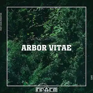Picture for song 'PROST - Arbor Vitae' by artist 'Prost Sound Production'