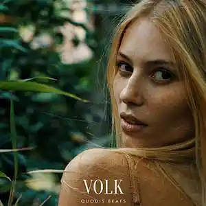 Picture for song 'VOlK HipHop Type Beat' by artist 'Quodis'