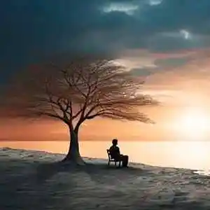 Picture for song 'no one ever told me' by artist 'Roger Betts'