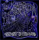Picture for song 'Caught In The Web' by artist 'SPIDA-SILENTPOWER'