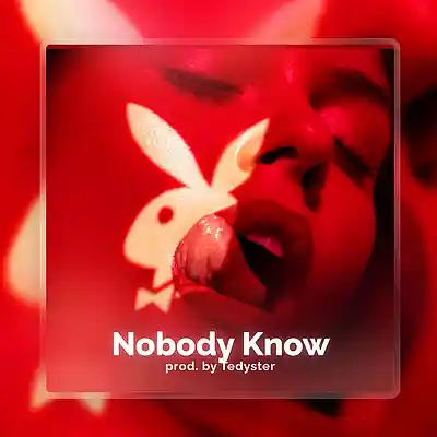 Picture for song 'Nobody Know - Pop x Dark RnB' by artist 'TEDYSTER'