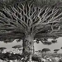 Picture for song 'As Above So Below *PROPHECY* ' by artist 'Jeno Beats'