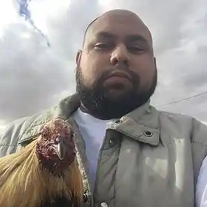 Picture for song 'pimp tucson' by artist 'TUCBABY'