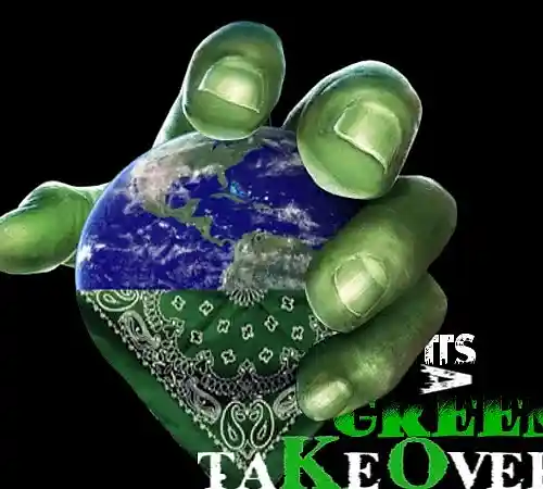 cover pic