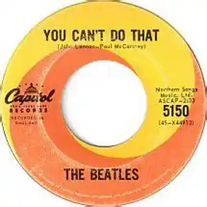 Picture for song 'You Can't Do That' by artist 'Bryan Knight aka Knight Flight'