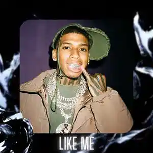 Picture for song '"Like Me" NLE Choppa & EST Gee Type Beat' by artist 'D V 1 R V E R S BEATS'