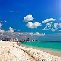 Picture for song ' Last King ***Sold***' by artist 'Nelson Daye Exclusive'