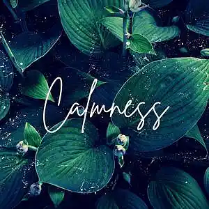 Picture for song 'Calmness' by artist 'Netuno Soundtracks'