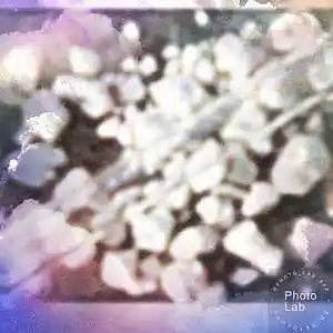 Picture for song 'crack' by artist 'Oson'