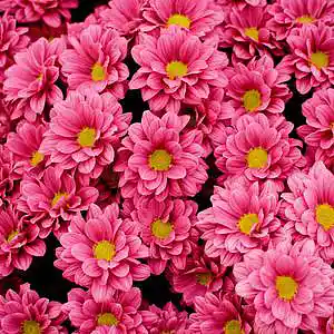 Picture for song 'Feels' by artist 'P.R Beats'