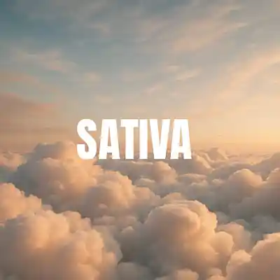 Picture for song 'Sativa - Futuristic Trap Type Beat 2025' by artist 'Tio Denero Muzik'