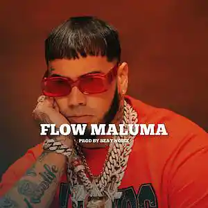 Picture for song 'Anuel AA X Feid Type beat - "FLOW MALUMA" Reggaet' by artist 'Beat Noise'