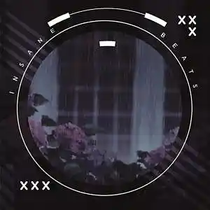 Picture for song 'Rainy Day - Lo-Fi HipHop Beat' by artist 'Insane BTM'