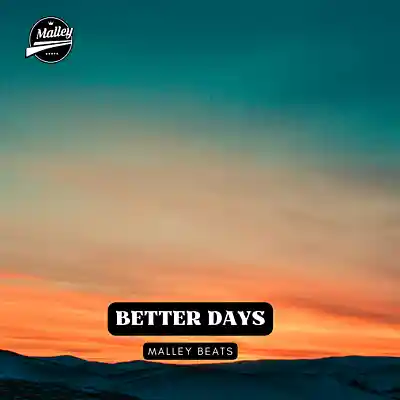 Picture for song 'BETTER DAYS [EMOTIONAL GUITAR TYPE BEAT]' by artist 'Malley Beats'
