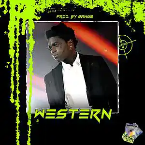 Picture for song 'Polo G x Toosii x Kodak Black Type Beat - Western' by artist 'sange beats'