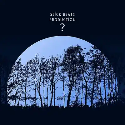 Picture for song '?' by artist 'Slick beats production'