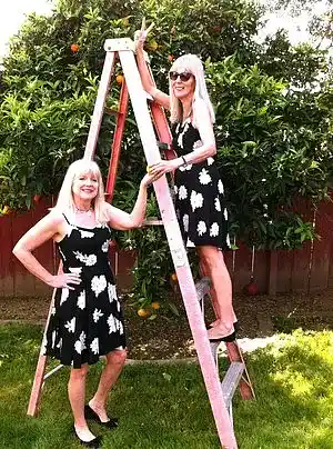 Picture for song 'Falling For You' by artist 'The Dagwood Blondies'