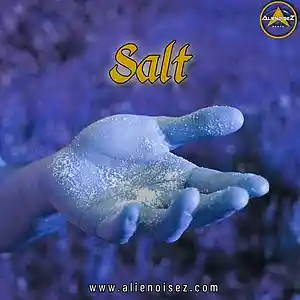 Picture for song 'Salt' by artist 'Alienoisez Beats'