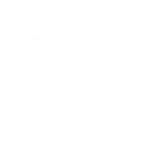 cover pic
