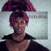 Picture for song 'YouWasWrong ' by artist 'Cashualbeats'