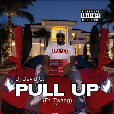 Picture for song 'Twang - Pull Up' by artist 'King David Production'