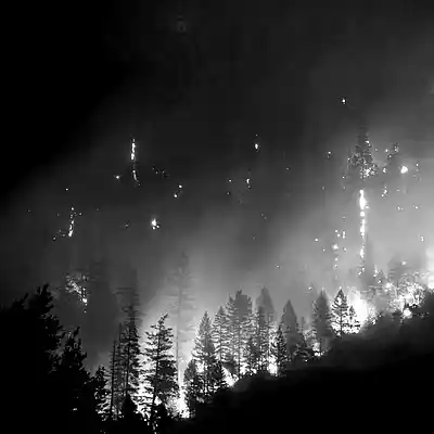 Picture for song 'RIVAL (FREE INSTRUMENTAL)' by artist 'Le Black James on the Track'