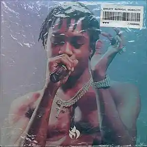 Picture for song 'Man Of The Year' by artist 'MadReal'