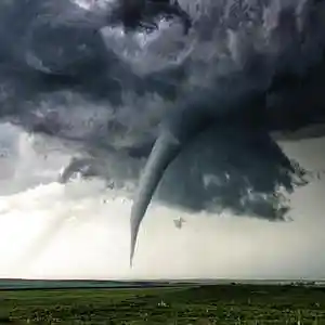 Picture for song 'Reflux *BUY 1 GET 1 FREE*' by artist 'Vape D'