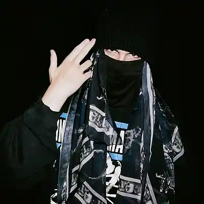 Picture for song 'Tantrum' by artist 'Wellfore'