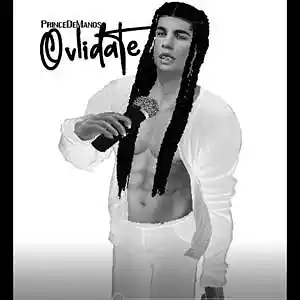 Picture for song 'PrinceDeManos- Olvidate' by artist 'DjMano'