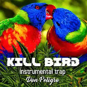 Picture for song 'KILL BIRD - INSTRUMENTAL TRAP - DON PELIGRO' by artist 'don peligro'