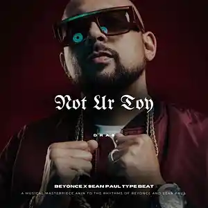 Picture for song '"Not Ur Toy" - Sean Paul x Beyonce Type Beat' by artist 'Dras On The Beat'