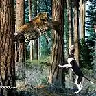 Picture for song 'barkin up the wrong tree' by artist 'EdotProductions'
