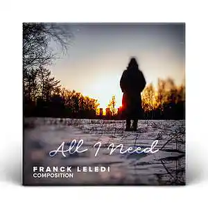 Picture for song 'All i need' by artist 'franck leledi'