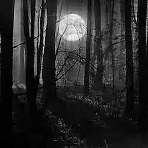 Picture for song 'Nothing Regular - 87Bpm' by artist 'HenrokBeatz'