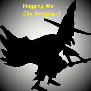 Picture for song 'Nagging Me' by artist 'Jim Redgewell'