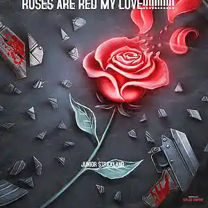 Picture for song 'ROSES ARE RED MY LOVE!!!!!!!!!!!!' by artist 'JUNIOR STRICKLAND'