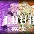 Picture for song 'Steady Smoking Prod By NajBeats' by artist 'LoudPackProdz'